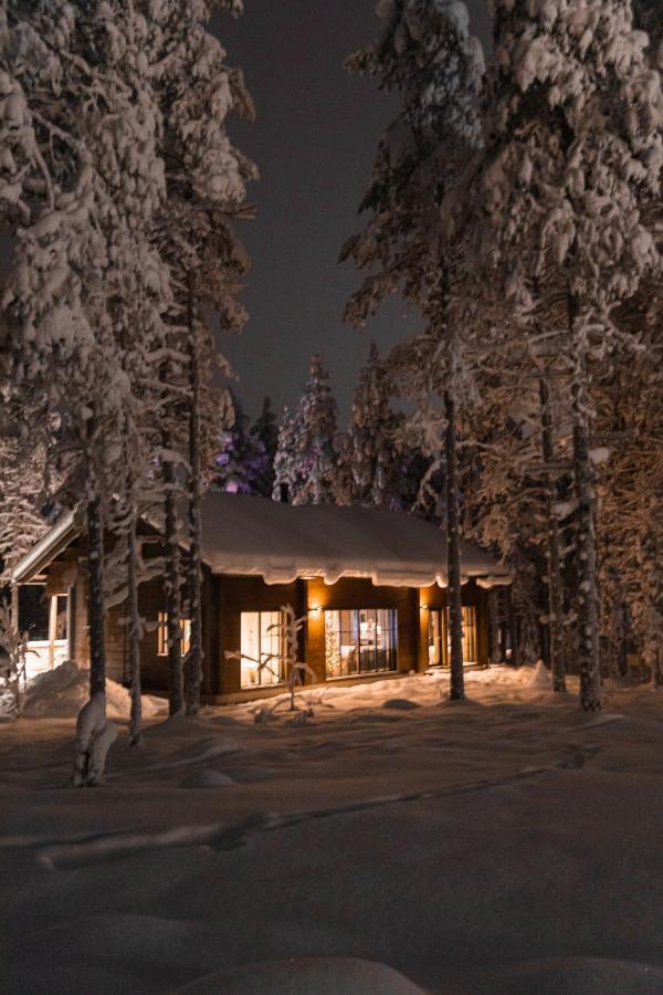 Raanakka House - Premium Villa At Levi Eksteriør billede
