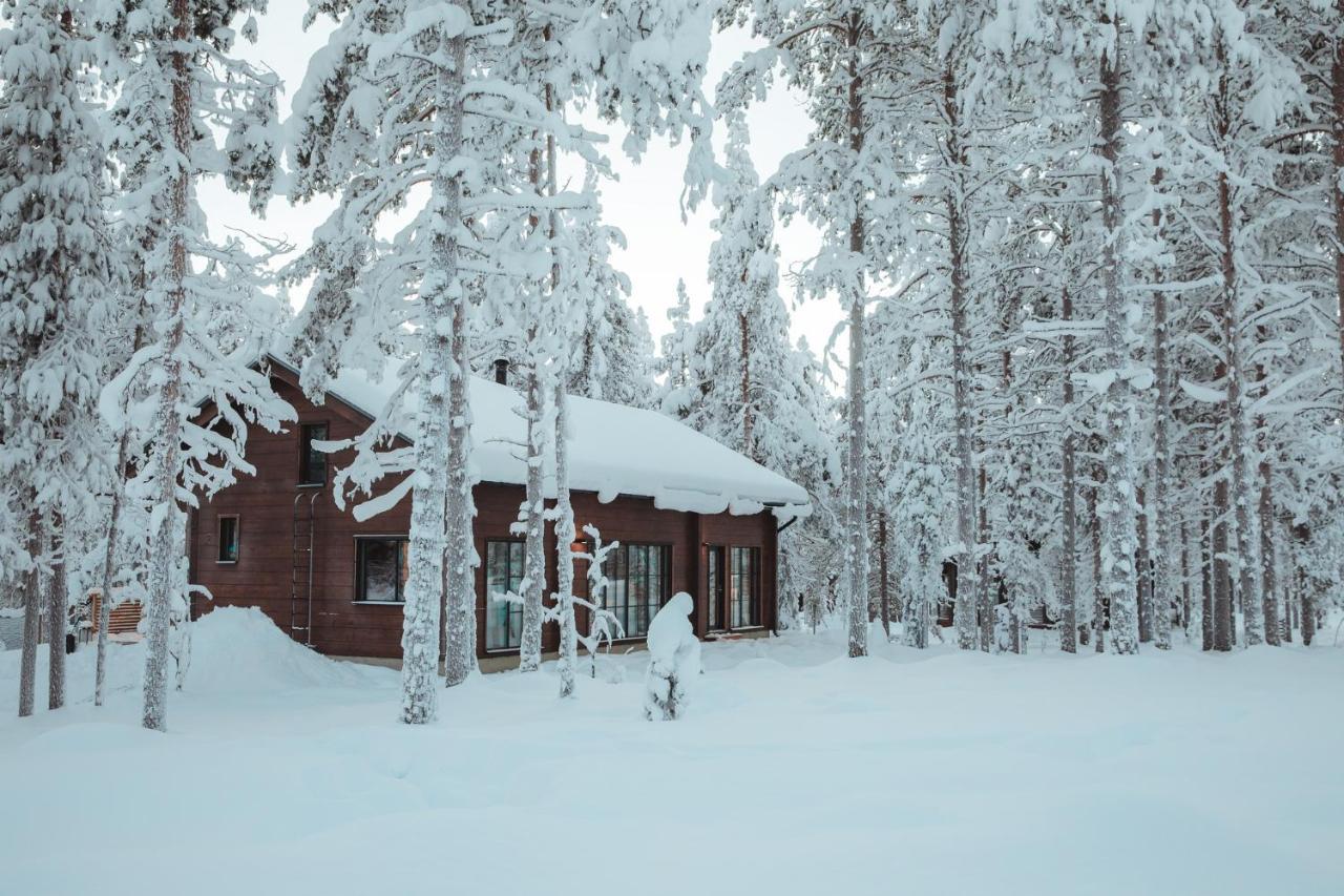 Raanakka House - Premium Villa At Levi Eksteriør billede